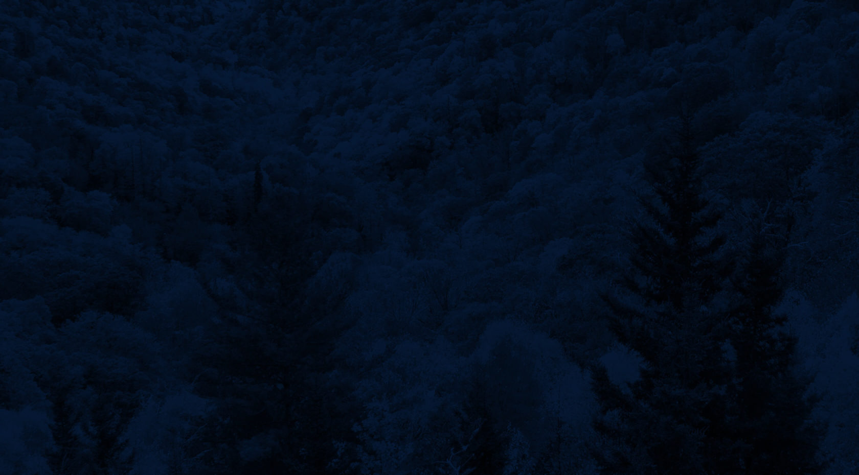 Fall foliage with a blue overlay