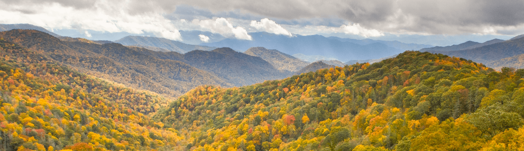 Fall foliage