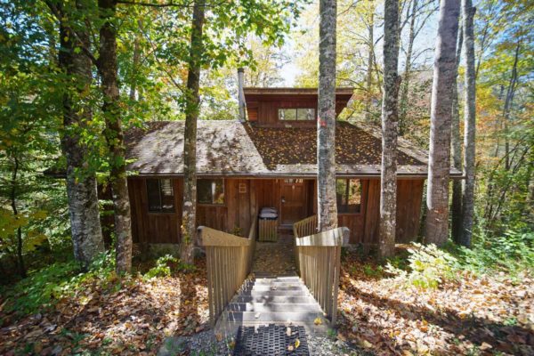 exterior of birch cabin