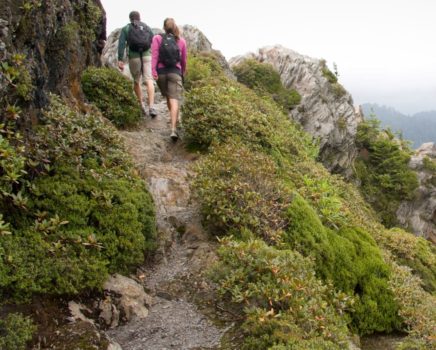 Hiking on the Smoky Mountain Adventure trip