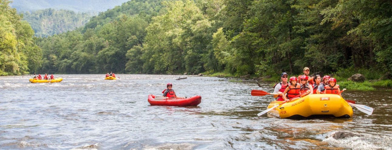 Guests rafting in Knoxville, TN